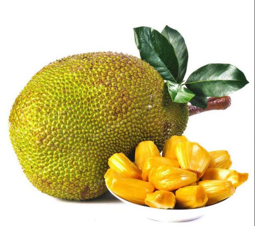 Tasty And Healthy Pure Naturally Grown Farm Fresh Jack Fruit