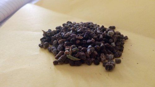 100% Organic Dried Black Strong Flavor Cardamom Seeds For Exports