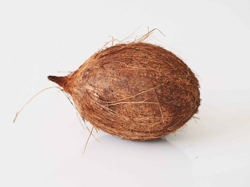 350 Gram Medium Size Fresh Brown Coconut, Rich In Dietary Fiber