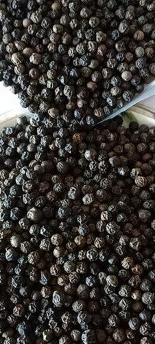 8 MM Raw Dried Whole Extra Pungency Black Pepper For Cooking And Medicinal Use
