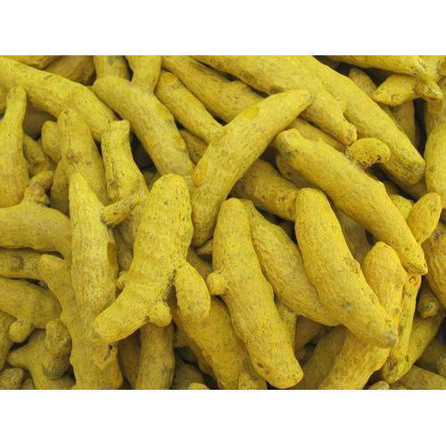 A Grade Yellow 100% Pure Aromatic And Flavourful Indian Origin Naturally Grown Turmeric