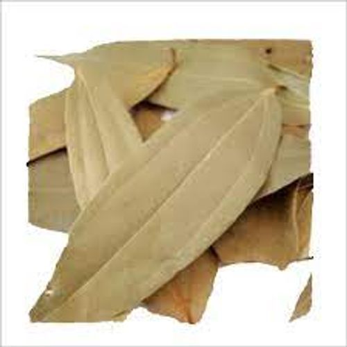 Dried Commonly Used In Cooking A-Grade Premium Quality Biryani Spice Bay Leaf Or Tej Patta