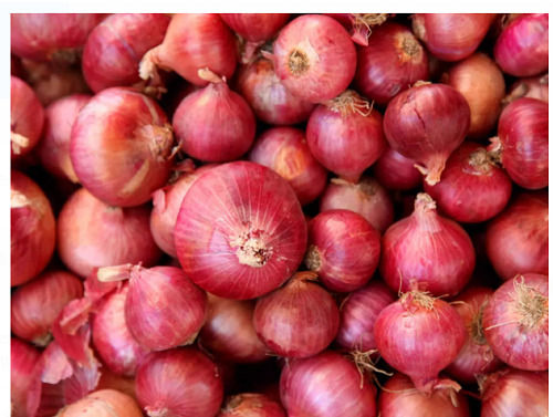 Pure And Natural Round Whole Raw Red Onion For Cooking 