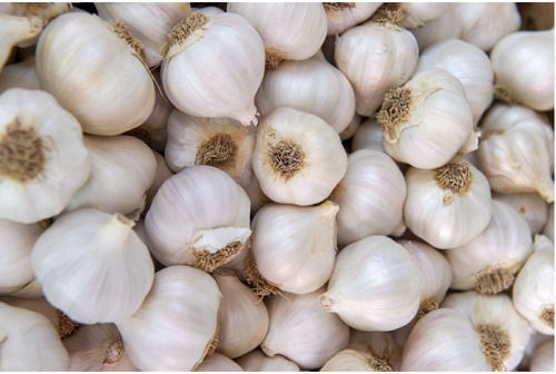 Pure And Natural Spear Whole Raw Garlic 