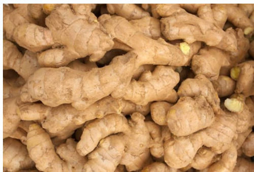Natural And Fresh Whole Raw Ginger