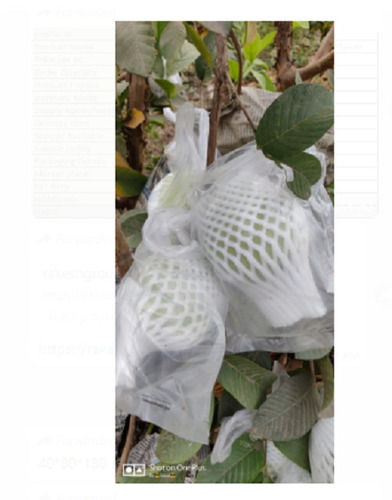 Round White Foam Fruit Net Size Of 120mm,For Packing Fruits , Thickness: 3 Mm