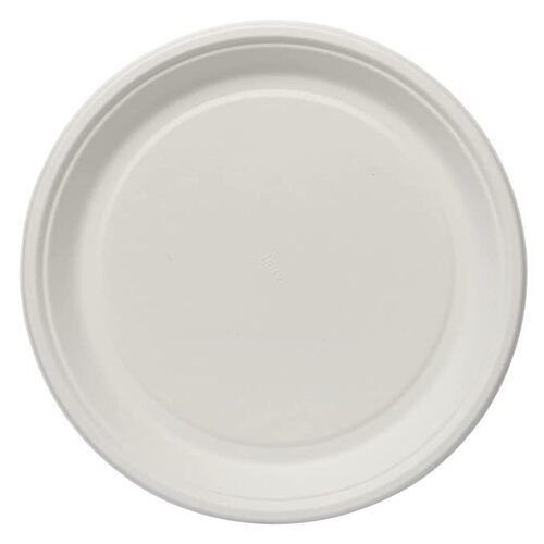 8 Inch Eco Friendly White Plain Plastic Disposable Plate For Event And Parties 