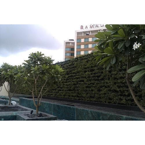 Attractive & Best Quality Artificial Horizontal Dark Green Wall