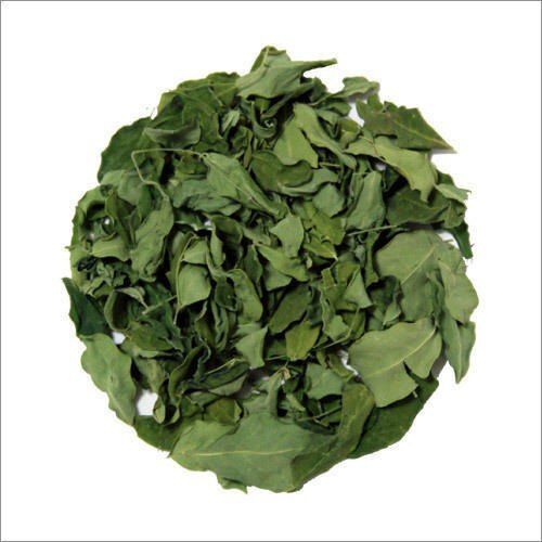 Improving Your Overall Health Bone-Building Natural Green Moringa Dry Leaves