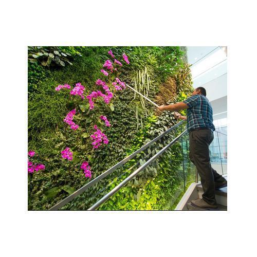 Beautiful Artificial Multi Green Wall Turnkey Project