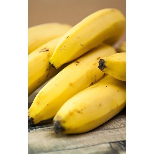 High Source Of Potassium Rich And Delicious A Grade Quality Organic Fresh Banana
