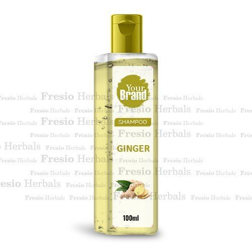 Herbal Anti Dandruff Ginger Shampoo With 24 Months Shelf Life