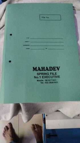  दस्तावेज़ सुरक्षा और व्यवस्थित रखें लंबे समय तक टिकाऊ A4 ग्रीन स्प्रिंग फ़ाइल क्षमता: 2 किलोग्राम/दिन