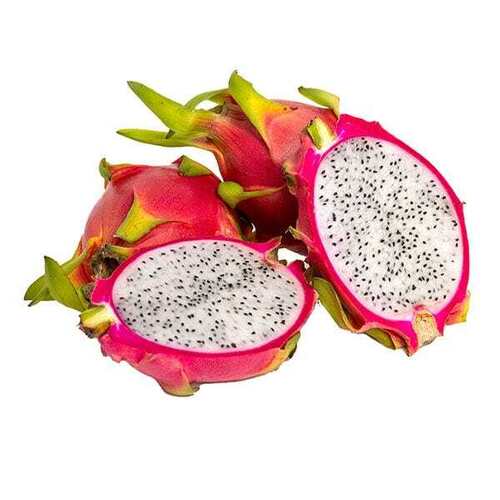 Nutrient-Dense Juicy Tasty Energetic Antioxidants Flavonoids Dragon Fruit 