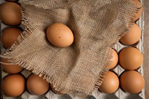 Rich Source Of Protein Safe From Bird Flu Fresh And Healthy Brown Eggs