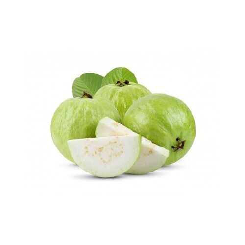 Tasty Healthy High Dietary Fibre Nutritious Powerhouse Fresh Guava Fruit 