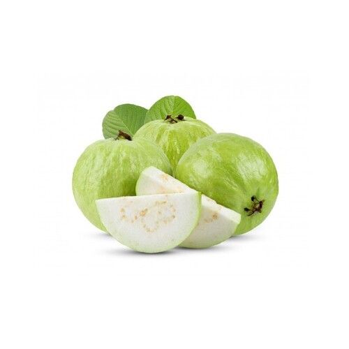 Green Tasty Healthy High Dietary Fibre Nutritious Powerhouse Fresh Guava Fruit 