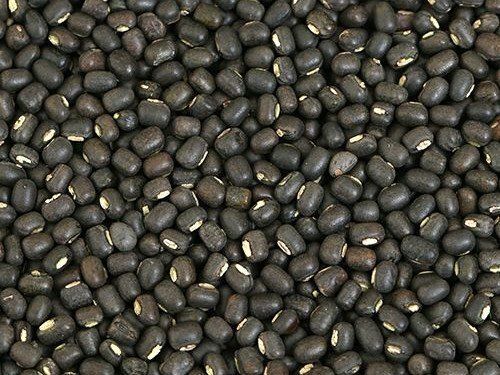 Delicious Healthy Indian Naturally Grown High In Protein And Carbohydrate Yummy Tasty Black Gram