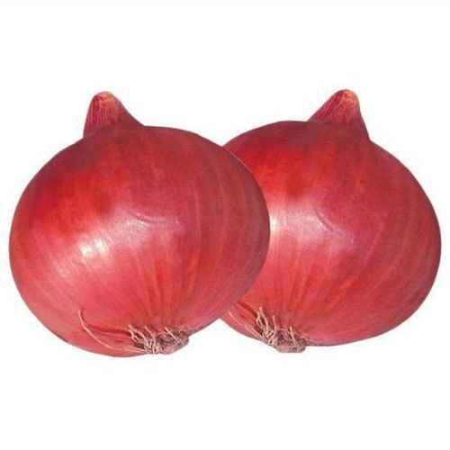 Farm Fresh Indian Origin Naturally Grown Rich In Vitamins And Minerals Round Shape Healthy Red Onion