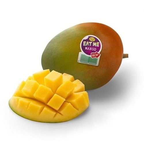 Fresh High Quality Nutrition Source For Summer Flavor And Yellow Mango 