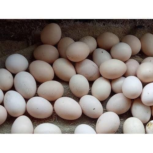 Full Fresh Rich Source Of Protein Safe From Bird And Healthy Brown Eggs