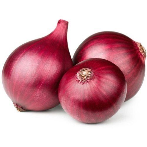 Naturally Grown Antioxidants And Vitamins Enriched Healthy Farm Fresh Red Round Shape Onion