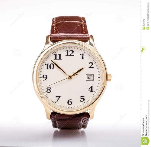 Brown Skin Friendly Light Weight Long Lasting Fine Finish Wrist Watch