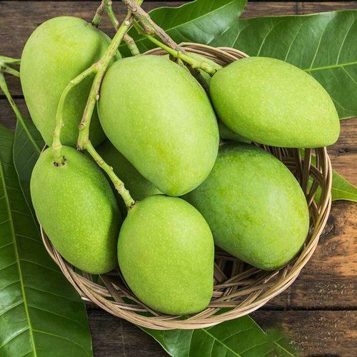 A Grade Original Naturally Grown Enriched Healthy Farm Fresh Raw Green Mango