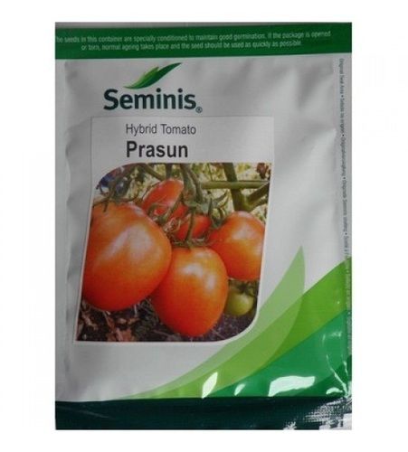 Fresh Healthy And Natural No Added Preservative Seminis Tomato Seed