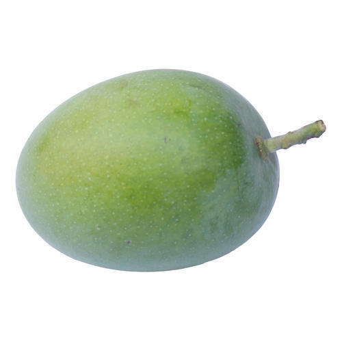 Healthy Farm Fresh India Origin Naturally Grown Tasty Raw Green Mango