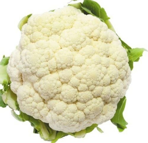 1 Kilogram Pack Size Common Cultivated White And Green Cauliflower