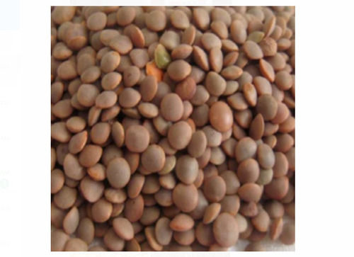100% Pure And Dried Red Masoor Dal, Protein 9 Gram, For Cooking 