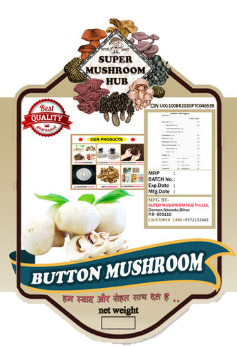 A Grade Fresh Button Mushroom With High Nutritious Value And Rich Taste