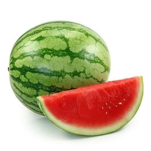 Fresh Sweet Taste And Juicy Common Cultivated Green Watermelon
