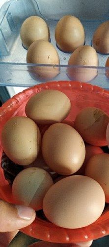 brown eggs