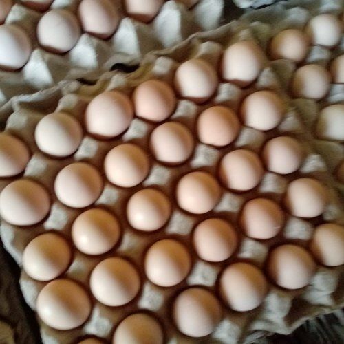 High-Quality Protein And Minerals Healthy Fresh Natural Brown Desi Eggs