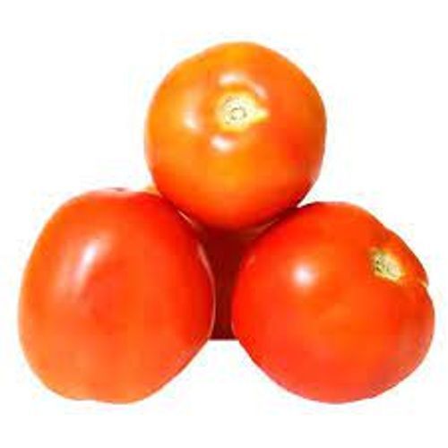 Raw Processed Round Shaped Hybrid Preserved Bright Red Color Tomato, 1 Kg