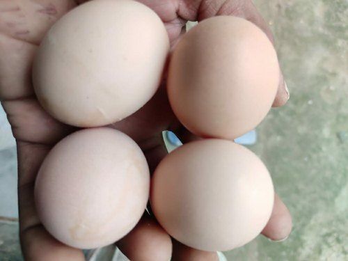 Rich In High Protein Healthy Fresh And Natural Pure Brown Chicken Eggs 