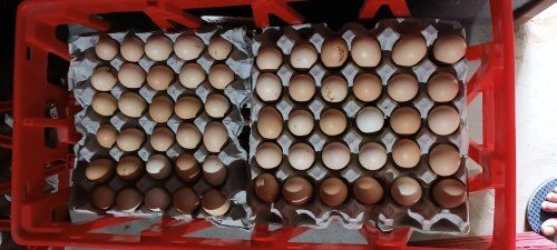 Rich Source Of Protein Full Fresh And Healthy Nutrition Brown Chicken Eggs