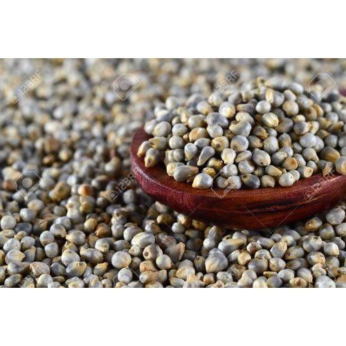 100% Pure High In Protein Dried Brown Healthy Natural Pearl Millet