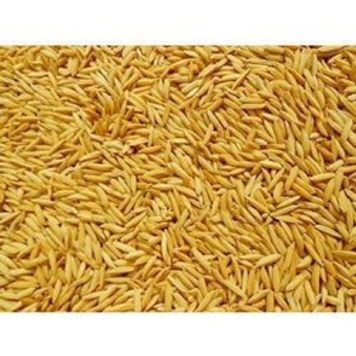 भारतीय मूल का 100% शुद्ध लंबे दाने वाला स्वस्थ सूखा धान चावल 