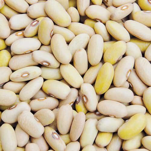 Indian Originated Natural High Protein Whole Fresh Off White Soybean Seed 