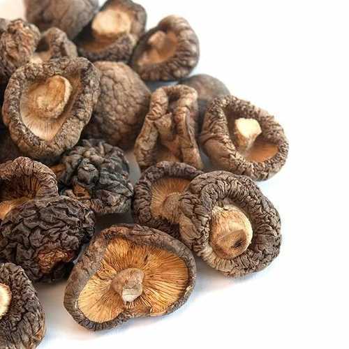 Excellent Source Of Iron And Copper Low Calories Brown Dried Oyster Mushroom