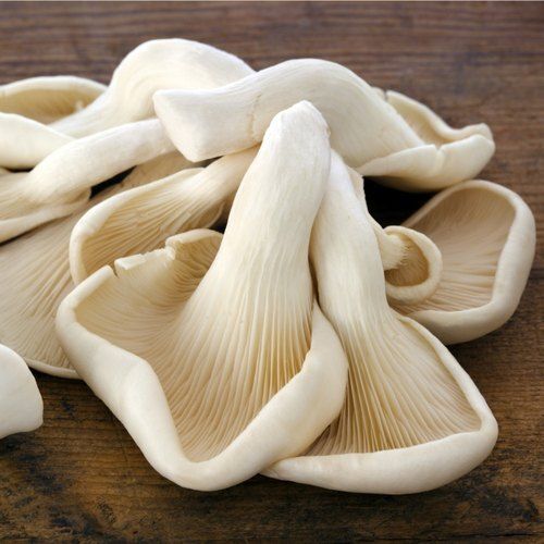 Natural Excellent Source Of Potassium And Copper White Fresh Oyster Mushroom