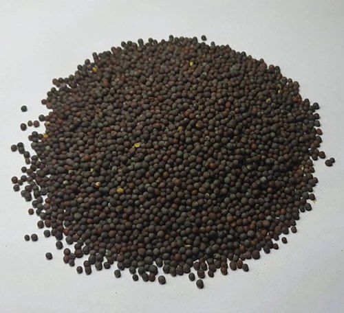 100 Percent Natural No Added Preservative Organic Black Mustard Seeds Grade: A