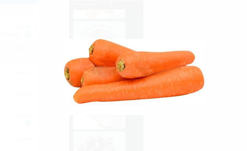 100% Fresh And Natural Flavor Orange Carrot For Cooking Use