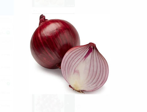 100 % Fresh Preserved Onion Packaging Size 50 Kilogram For Cooking 