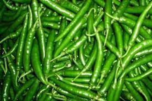 100% Pure Healthy And Natural Fresh Green Chillies Use For Cooking, 1kg
