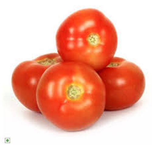 High In Vitamin Red Colour Preserved Round Shaped Fresh Juicy Tomato, 1 Kg