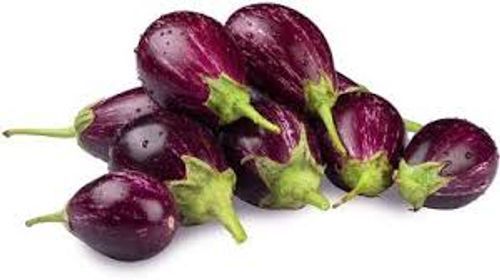 Nutrient Dense Hygienically Preserved Healthy Rich Purple Oval-Shaped Fresh Brinjal